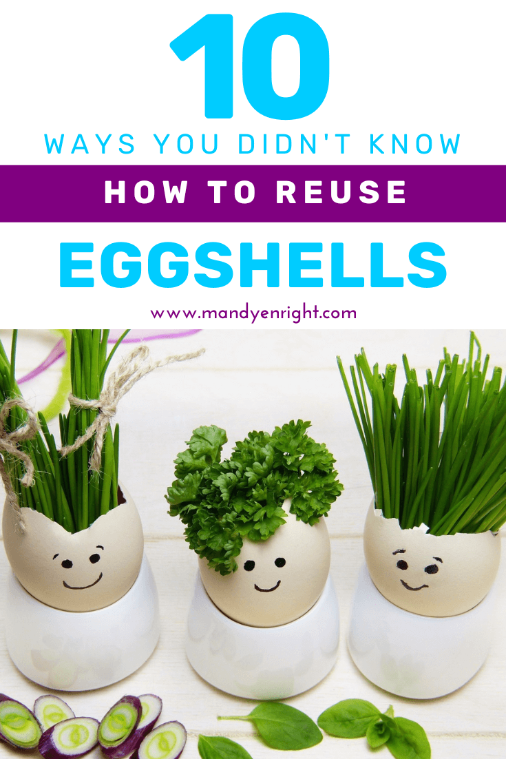 Uses for Eggshells | Easter Hardboiled Egg Leftovers | Nutrition Nuptials | Mandy Enright MS RDN RYT