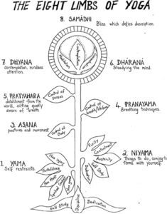 8 limbs yoga