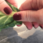 sunflower tacos | collards