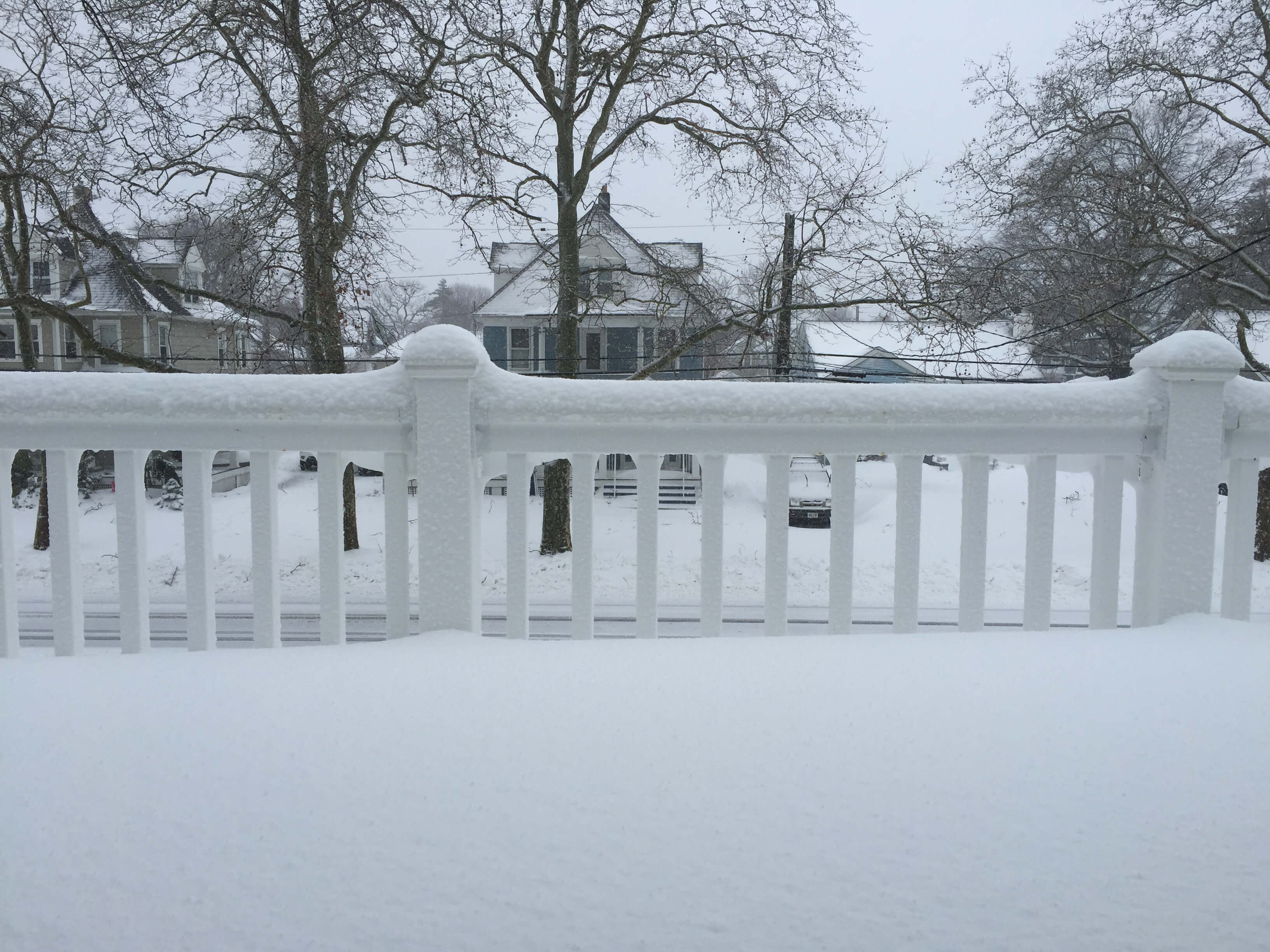 Blizzard Bites