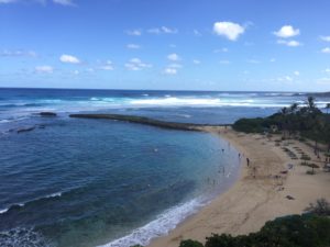southwestern yellowfin tuna salad