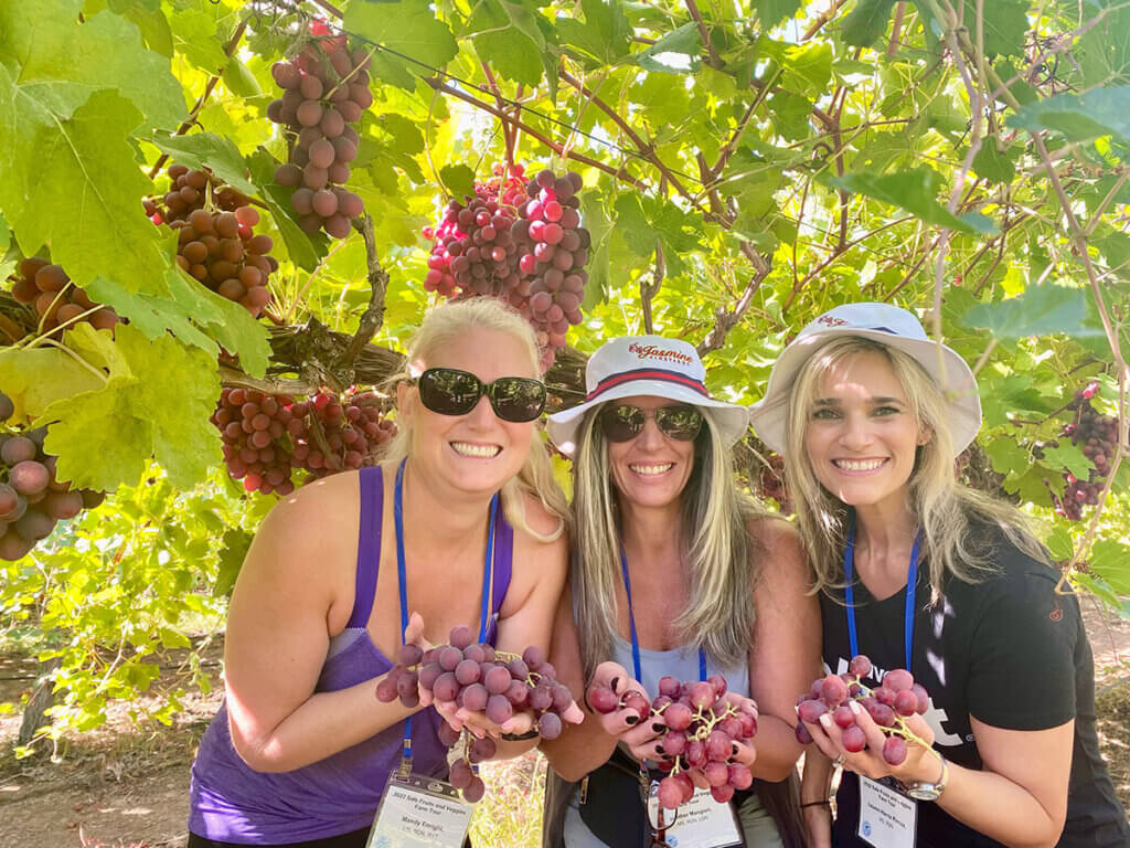 Dietitians in Grape Vinyard